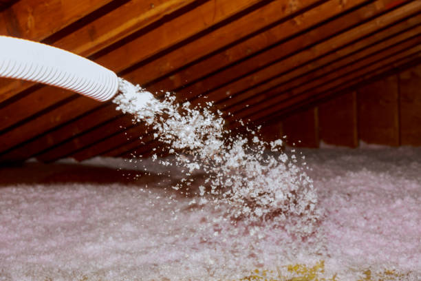 Best Cellulose Insulation  in Queensland, MD
