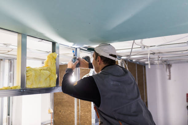 Best Energy-efficient Insulation  in Queensland, MD