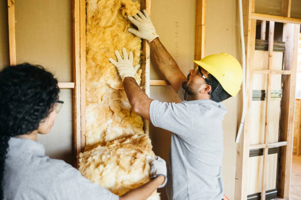 Insulation for New Construction in Queensland, MD